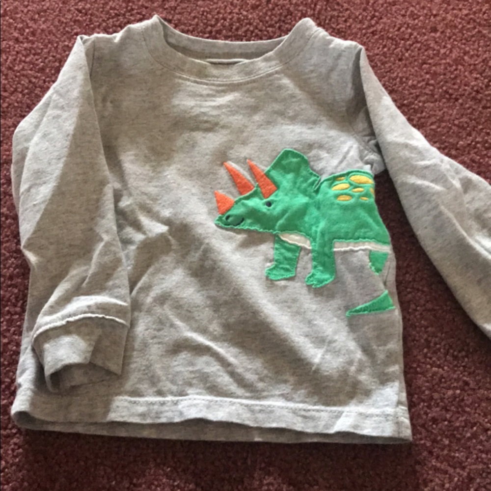 Grey dinosaur shirt